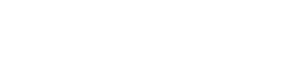 Università Campus Bio-Medico di Roma